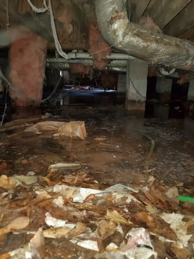 Crawl space flood assessment for Commercial Water Damage Restoration in Marlboro Village